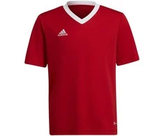 Vaikiški marškinėliai Adidas Entrada 22 Jsy H57496, raudona