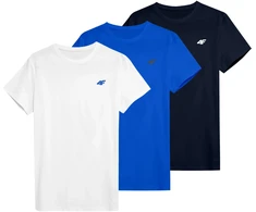 Vyriški marškinėliai 4F M4479 balta, mėlyna, tamsiai mėlyna 4FWSS26TTSHM4479 90S (3XL)