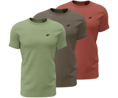 Vyriški marškinėliai 4F M4480 žalia, ruda, bordinė 4FWSS26TTSHM4480 90S (5XL)