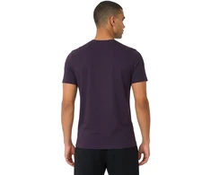 Vyriški marškinėliai 4F M4484 violetinė 4FWSS26TTSHM4484 50S (3XL)