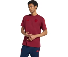 Vyriški marškinėliai adidas Arsenal FC DNA bordinė KG5140 (2XL)