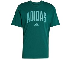 Vyriški marškinėliai adidas Collegiate Lineage Graphic žalia KA7135 (M)