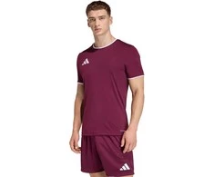 Vyriški marškinėliai adidas Entrada 26 Jersey bordinė JZ2507 (S)