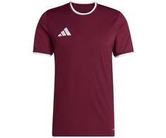 Vyriški marškinėliai adidas Entrada 26 Jersey bordinė JZ2507 (S)