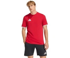 Vyriški marškinėliai adidas Entrada 26 Tee raudona JZ6676 (S)
