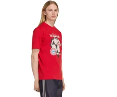 Vyriški marškinėliai adidas FC Bayern Muenchen Seasonal Graphic raudona KG2586 (XL)