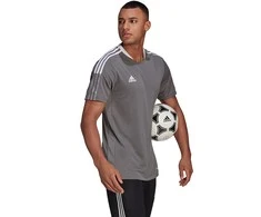 Marškinėliai vyrams Adidas Tiro 21 Training Jersey M GM7587, pilki