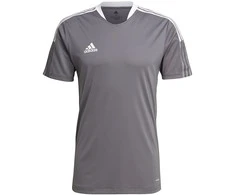 Marškinėliai vyrams Adidas Tiro 21 Training Jersey M GM7587, pilki