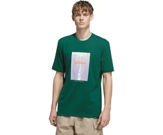Vyriški marškinėliai adidas Waterfall Graphic žalia KS2173 (2XL)