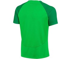 Nike DF Adacemy Pro SS Viršutinė dalis KM DH9225 329