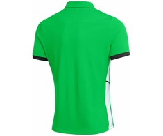 Vyriški marškinėliai Nike Dri-Fit Academy 25 SS Polo žalia FZ9759 329 (L)