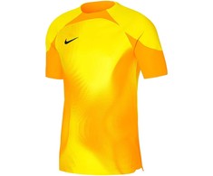 Vyriški marškinėliai Nike Dri-FIT Adv Gardien IV GK Jsyss geltona DH7760 719 (M)