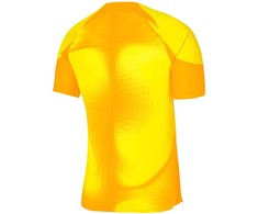 Vyriški marškinėliai Nike Dri-FIT Adv Gardien IV GK Jsyss geltona DH7760 719 (M)
