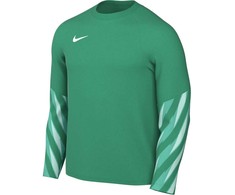 Vyriški marškinėliai Nike Dri-Fit Park V Stadium žalia HV8314 324 (L)