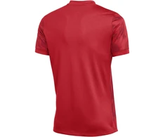 Vyriški Nike Dri-FIT Precision VII marškinėliai, raudoni