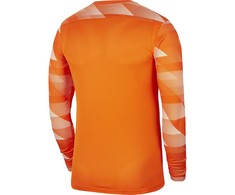 Bluza bramkarska vyriška Nike Dry Park IV JSY LS GK oranžinė CJ6066 819 (L)
