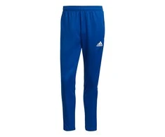 Sportinės kelnės vyrams Adidas Tiro 21 Training M GJ9870, mėlynos
