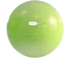 Gimnastikos kamuolys PROFIT 55cm su pompa