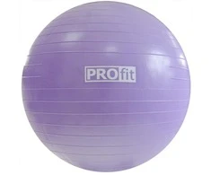 Kamuolys gimnastyczna Profit 65 cm violetinė su pompką DK 2102