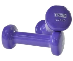 Vinilo Hanteliai Profit Violetinis 2x0,75kg DK 4102
