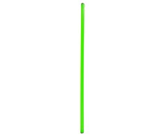 Gimnastikos Lazda NO10 SPR-25120 G 120 cm