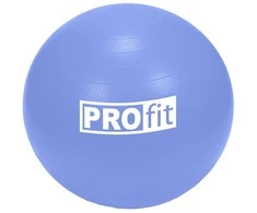 Gimnastikos Kamuolys PROFIT 75cm su Pompa