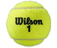WILSON ROLAND GARROS (3) teniso kamuoliukai