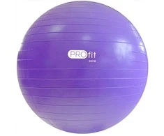 Kamuolys gimnastyczna Profit 55 cm violetinė su pompką DK 2102