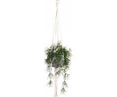 4Living 4Gyvas vazono kabykla, medvilnė, 105 cm