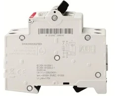 ABB SUNKUS KELIONĖS 1P+N, CHA.B, 16