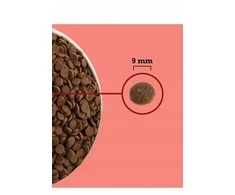 ACANA Highest Protein Indoor Cat - sausas kačių ėdalas - 1,8kg