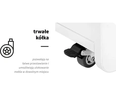 Activeshop Kosmetologinis vežimėlis Pro 969 (4 stalčiai)