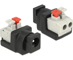 Adapteris AV Delock (65524)
