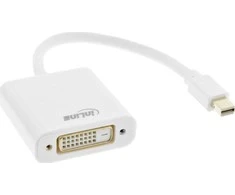 AV adapteris InLine Rodyti Port Mini - DVI- D balta (17194K)