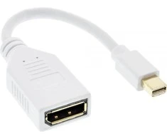 AV adapteris InLine Rodyti Port Mini - DisplayPort balta (17150W)