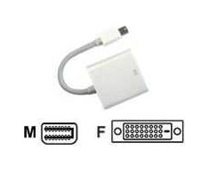 JJ Computer DisplayPort Mini – DVI-D AV adapteris baltas (AVC 127-0,1M)