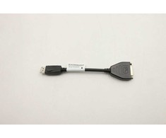 Adapteris AV Lenovo CABLE DP to DVI Dongle