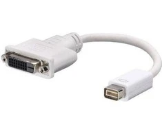 AV adapteris Lindy DVI mini - DVI- D balta (41000)
