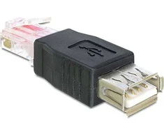 Delock Adapteris USB lizdas > RJ45 kištukas