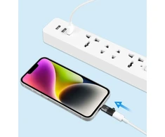 Adapteris USB Puluz Pu657b USB-C - Lightning Sidabrinė (SB9098)