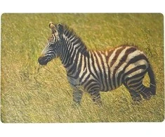 Adar Putplasčio stalo kilimėlis zebra 60x40cm