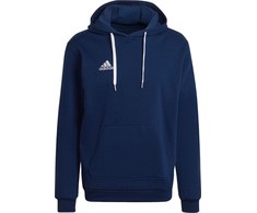 Adidas Entrada 22 Hoody M H57513 džemperis