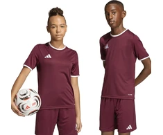 Marškinėliai vaikams adidas Entrada 26 Jersey bordinė JZ2530 (128cm)