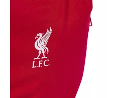 Adidas Sportinė kuprinė Liverpool FC (JZ5881)