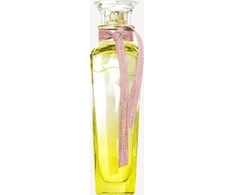 Adolfo Dominguez Agua Fresca Mimosa Coriandro EDT tualetinis vanduo moterims, 120 ml