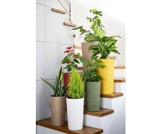 Adoni Doniczka bawełniana raudona su wkładem 47 cm – ręcznie robiona (adoni-ba-red-47)