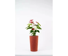 Adoni Raudonas džiuto vazonas su įdėklu 22x36 cm - rankų darbo (adoni-red-36)
