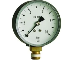 Afriso Šildymo gabaritas RF 100 RAD 100mm 0 - 16bar 1 / 2 "(63615)