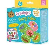 Aksjomat Vaisių mįslė + knyga KS0781