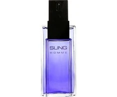 Alfred Sung Sung Homme EDT tualetinis vanduo vyrams, 100 ml